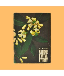 Szczepan A. Pieniążek, Na oknie kwitną cytryny
